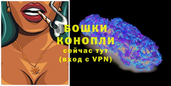 дурь Белоозёрский