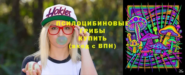 дурь Белоозёрский