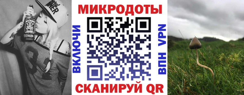 наркотики  Бородино  Галлюциногенные грибы ЛСД 